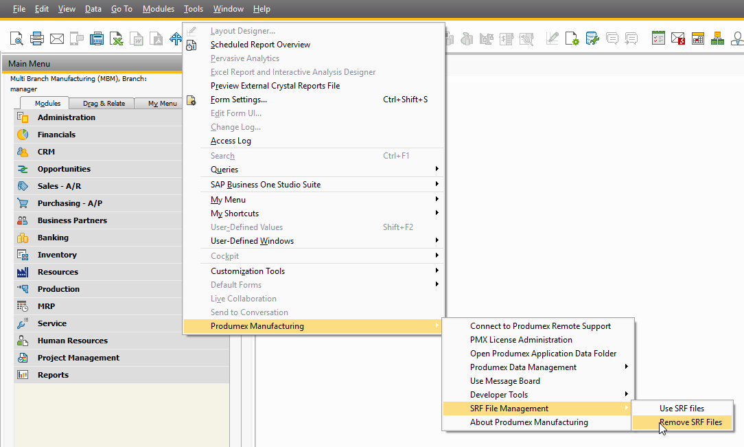 sap business one core modules