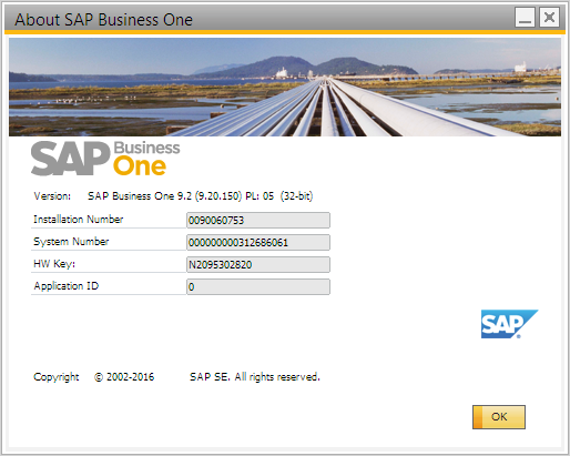 About SAP Business One